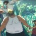 Netflix Tekken Anime
