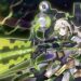 YuGiOh Is Getting An OCG Manga About All Those Rad Duel Monsters