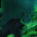 guild wars dragon's end loading screen