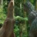 Prehistoric Planet Carnotaurus
