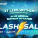 acer predator flash sale