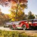 Forza Motorsport