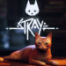 stray