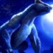 Monster Hunter Sunbreak Augments