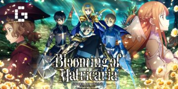 blooming of matricaria