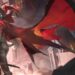 integrated strategies but thorns