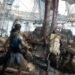 skull and bones interview