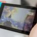 switch emulator protection