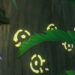 Genshin Impact Apam Woods Guide