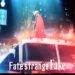 fate/strange fake