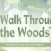walk through the woods genshin