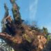 WIld Hearts Monster Hunter