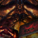 diablo immortal rog phone