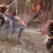 Elden Ring Colosseum
