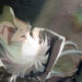 NieR Automata ver 1.1a