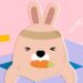 kingston rabbit