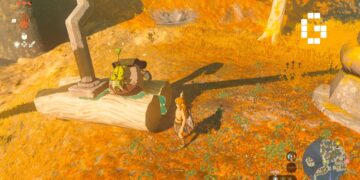 zelda koroks