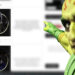 [Guide] Mortal Kombat Onslaught  – Character Tier List