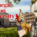Genshin Impact Could Grants Students Course Credits in Carnegie Mellon University Pennsylvania
