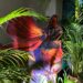 MTG The Lost Caverns of Ixalan Prerelease Event Shows Us The Value Of Walking The Dinosaur
