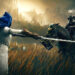 Elden Ring: Shadow of the Erdtree Hands-On Preview – Miquella’s Treacherous Steps to Another Unforgettable Adventure