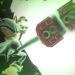 Sonic x Shadow Generations Hands-on Preview – This is The Power of The Chaos Emeralds!