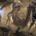 Elden Ring: Nightreign Network Test Announced for February
