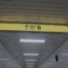 TOHO Announces Live-Action Adaptation of Indie Horror Game The Exit 8