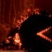[TGA 2024] Pac-Man Returns in Shadow Labyrinth, A Metroidvania Horror Launching 2025