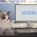 InZOI Removes Denuvo Implementation After Adressing Community Concerns