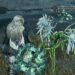 [GUIDE] Farming Nightflower Pollen in Monster Hunter Wilds