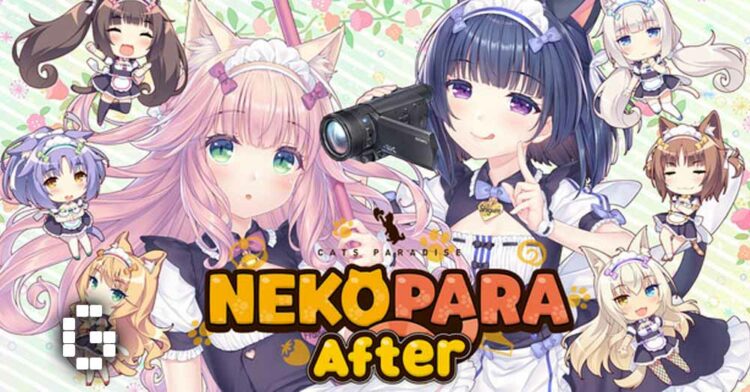 Nekopara After Now Available on Steam
