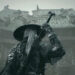 Phantom Blade Zero