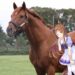 Legendary Japanese Racehorse & Umamusume Icon Grass Wonder Dies at 30