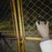 Pokémon Legends Z-A Teaser Brings Blair Witch Vibes Ahead of August 21 Premiere