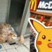 McDonald’s Pokémon card