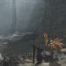 Monster Hunter Wilds Title Update 3