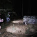 DON’T SCREAM TOGETHER, a Co-op Horror Game Launches on Steam December 3