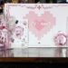 ROG x Honkai Impact 3rd Elysia’s Special Collection Unboxing – A Box Full of Love and Grace