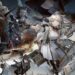 [GUIDE] Arknights: Endfield Codes & How to Redeem Them