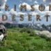 Crimson Desert PC, Console, Mac, and Handheld Specs Revealed Ahead of Launch