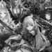 Shadowverse to Shut Down After 10 Years of Service