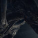 Creative Assembly Drops Teaser for Alien: Isolation Sequel