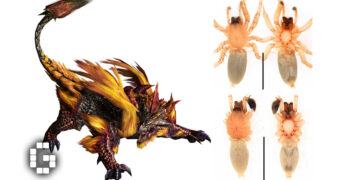 A New Spider Species Has Been Discovered and Named After a Monster Hunter Frontier Elder Dragon