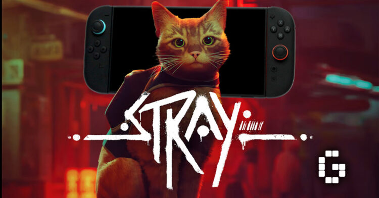 STRAY Launches on Nintendo Switch 2 This May 28 With 4K Visuals and Improved Performance