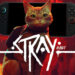 STRAY Launches on Nintendo Switch 2 This May 28 With 4K Visuals and Improved Performance