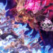 Granblue Fantasy: Relink – Endless Ragnarok Pre-Orders Now Open, New Trailers Revealed