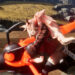 Pickmos Steam Page Returns After Copyright Chaos