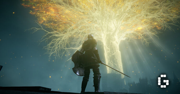 ELDEN RING Tarnished Edition Review – A Massive Package With Growing Pains