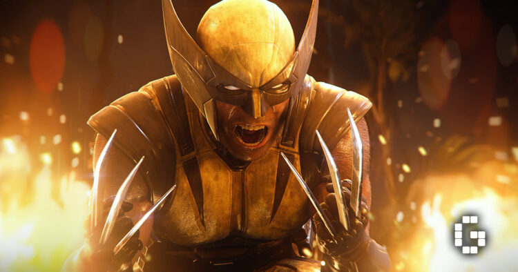 Wolverine